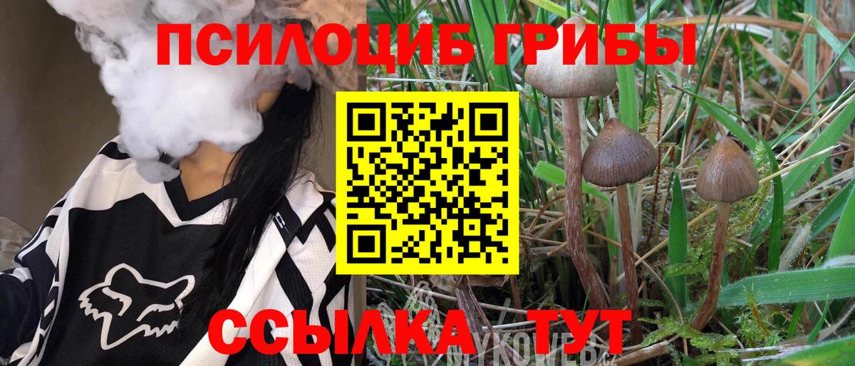 Галлюциногенные грибы Psilocybine cubensis  Вход с VPN  Псилоцибиновые грибы мицелий  Удомля 